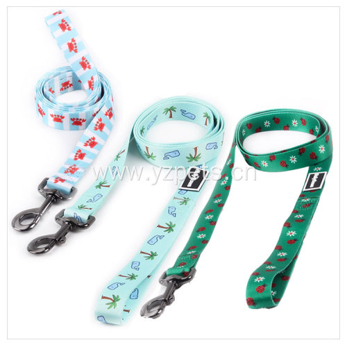 Colorful Dog Leash